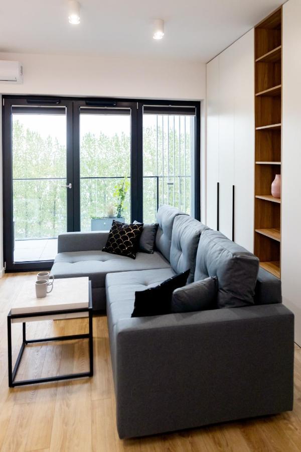 Apartment Downtown ,next To Spodek-free Parking